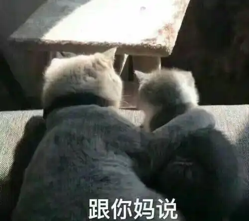 在线表情包沙雕开心笑话