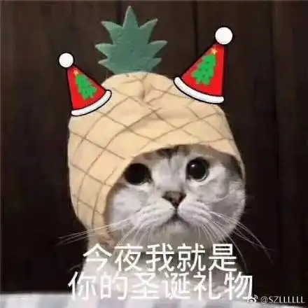  叮你的圣诞节猫咪表情包已送到