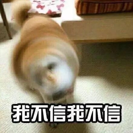  梅花开了双流赏梅地图新鲜出炉,阳光正好,现在就去