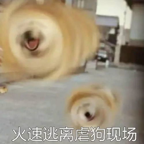  女友用宝可梦卡牌向我求婚