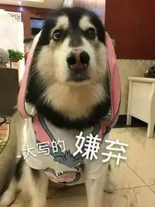  阿拉斯加的各种表情包..酒鬼一家