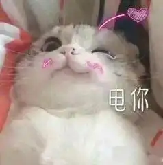 写作一套模板全搞定40天二战写作5.5飙升7.0  写作一套模板全搞定40天二战写作5.5飙升7.0