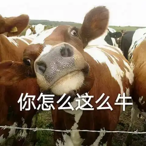  不能边洗澡边吃橙子不能舔蟾蜍美国各州奇葩法律大赏
