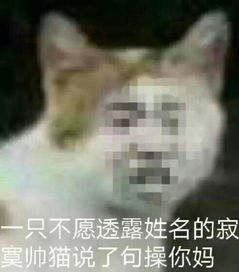  虐狗节七夕要到了,男朋友是玩hiphop的bboy四大元素都玩过,现在是bk老师送什么t恤