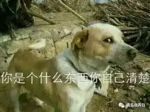 魔性真人笑容表情包狗狗