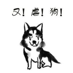  林俊杰林书豪力挺周杰伦只能说这波恩爱秀得好