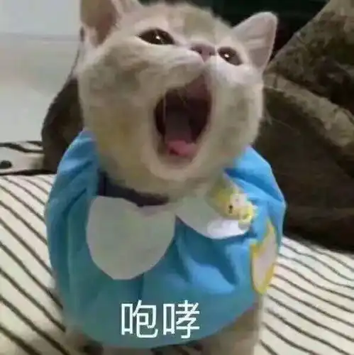  我的头发哪去了