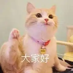  经过一学期的修炼,终于从社恐变成了......