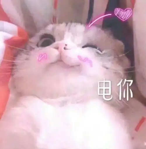  刚刚厦门这个区沸腾了