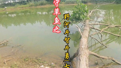  话说我当时都懵逼了原来钓鱼才是抖音运动顶流