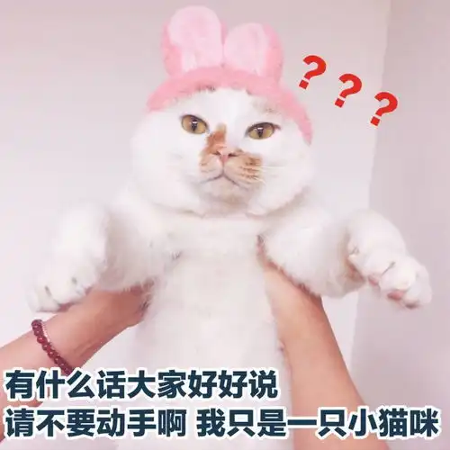 90后老了表情包罗熙