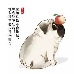 汪星人大咖驾到轮回诀疑似即将开启品牌联动