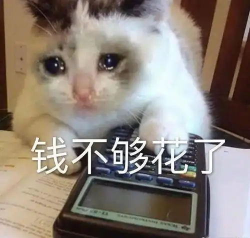  亲爸为了让我体验生活每月转账20w零花钱