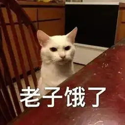  表情包听说有人背着小猫咪吃东西