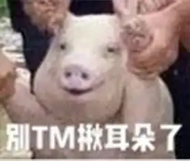  台风中的网红小猪表情包高清版台风中救起的网红小猪表情包无水印下载完整版腾牛下载