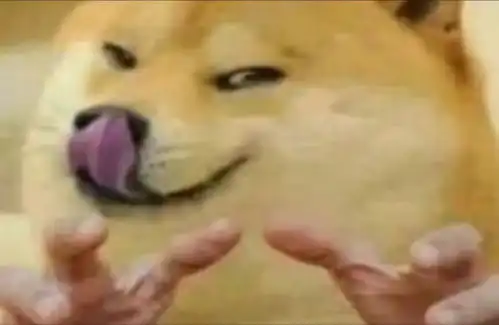  大学英语六级真题在线网站