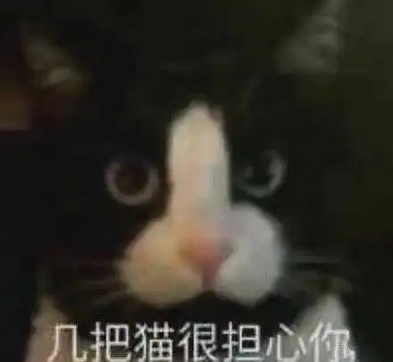 kino猫表情包网上冲浪