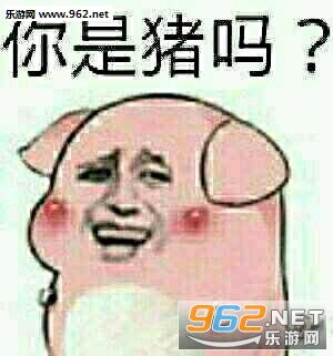  如何养猪表情包如何养猪图片网图下载乐游网游戏下载