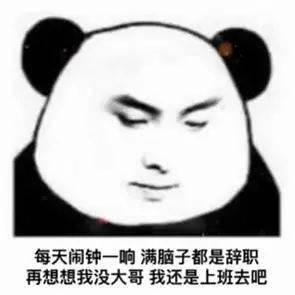  近期抖音最火熊猫表情
