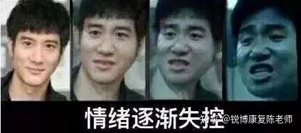 王力宏张学友表情包
