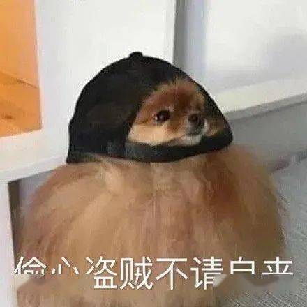  抖音热门表情包