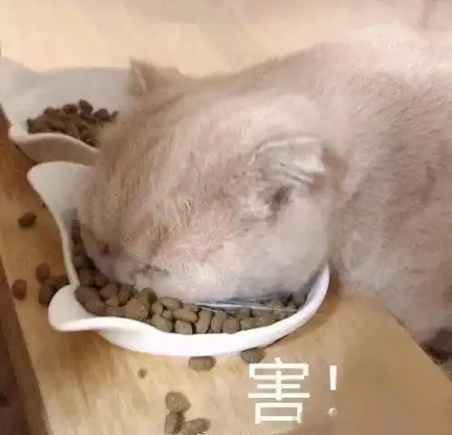 我要个性网表情包吃屎