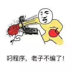 你在吗的表情包程序员