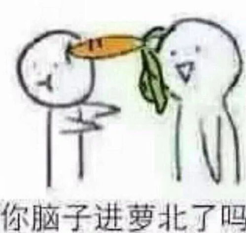  这篇真的没有广告,只有大牌