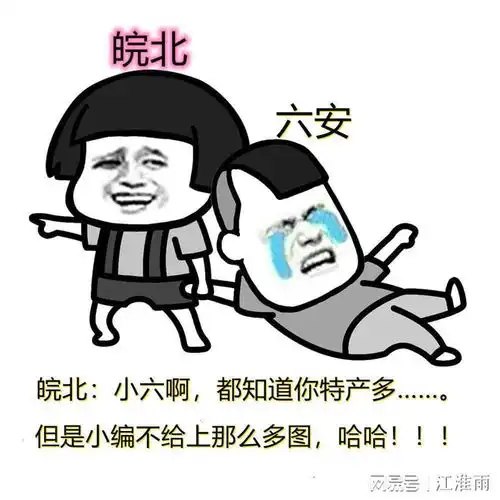  安徽各地特产,看看有没有自己的家乡皖北和皖中