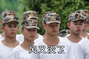  成航校军训的痛谁能懂也许只有表情包了