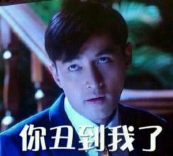  2015年度最火表情包