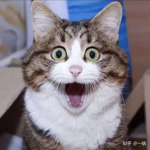  有颜有钱的小姐姐生活是什么样的