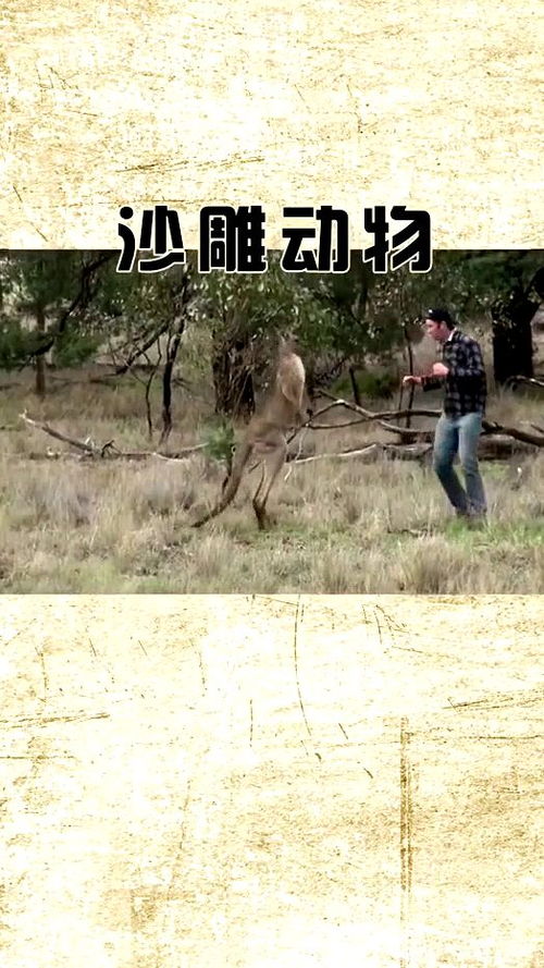 懵逼表情包gif图抖音