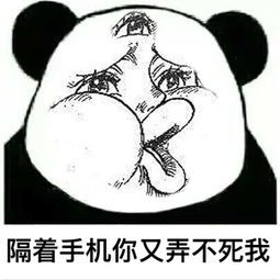  海泽王表情包