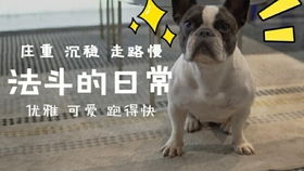  找到了一个小时候啃胡萝卜的视频