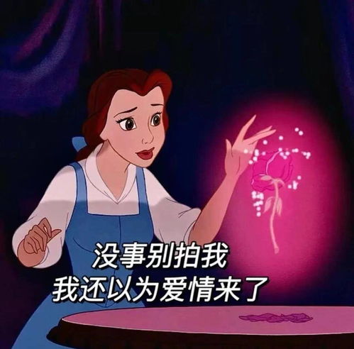 微信斗图表情包图片迪士