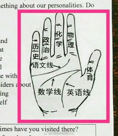  90后老师的试卷火了表情包武林秘籍英语试卷