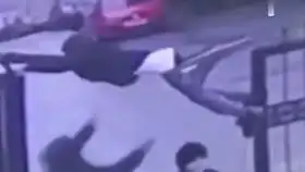  沙雕迷惑行为图鉴,笑死人不偿命系列