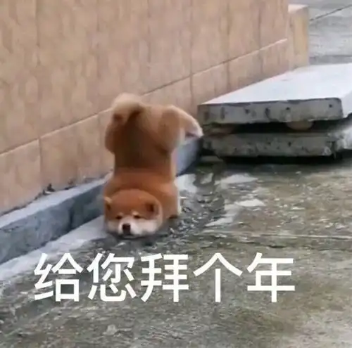  整顿春节的年轻人,成了家里唯一的活人