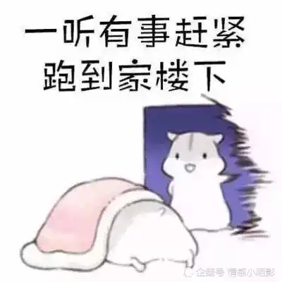  仓鼠表情包我想问问你们啊