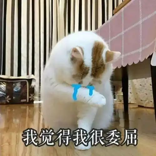 算我求你的表情包猫配音