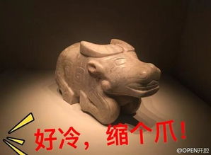  博物馆表情包大赛,让你笑出苹果肌