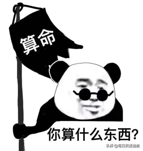  死老头子,你休想把钱藏在这里