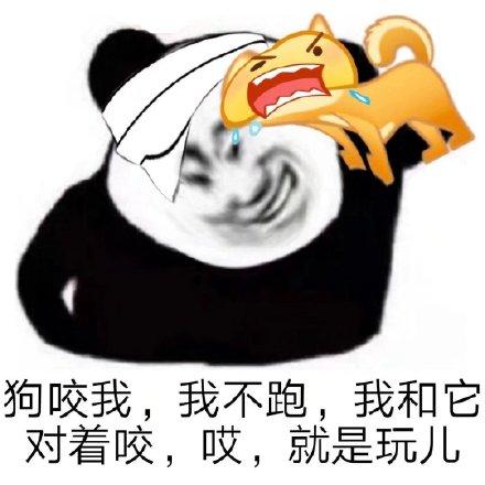  表情包我就是玩儿表情包
