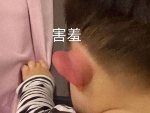  沙雕表情包你忍心丢下我