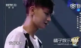  谈判官中的谢晓飞就是黄子韬本人吧