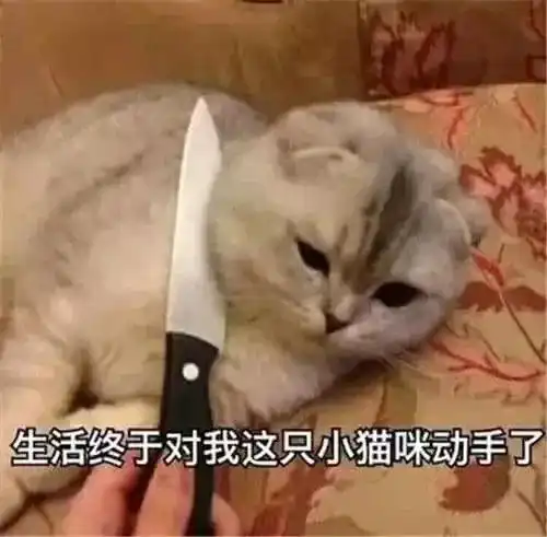  英语不好到底有多可怕笑死人不偿命的那种