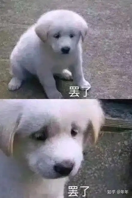  人在被淹死前前的一瞬间是什么感觉有经历过的能来讲述一下吗
