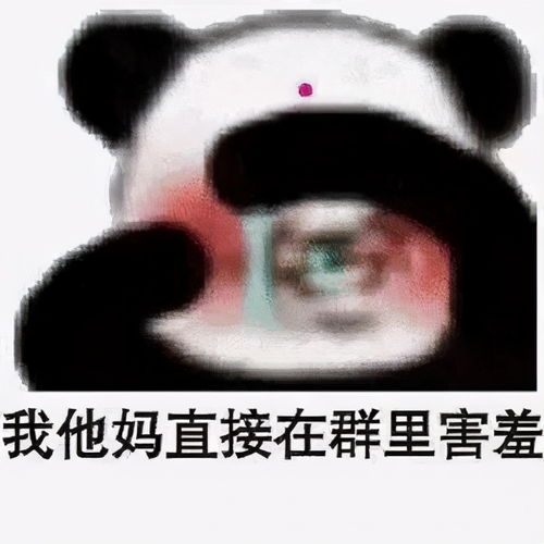  熊猫头表情包小哥哥,你又没有对象,我叫你一声老公怎么了