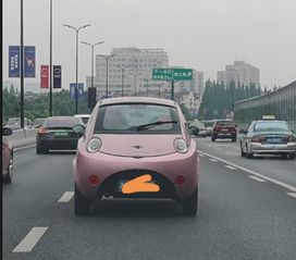  爆笑gif难道是上古神兽的遗骸